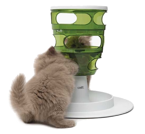 Gamelle Anti Glouton Pour Chat Guide D Achat Et D Utilisation