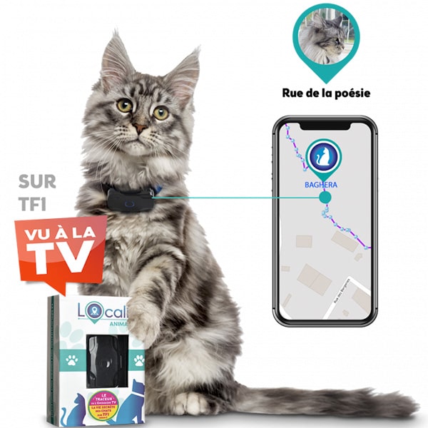 Localiz lookat - système gps imperméable