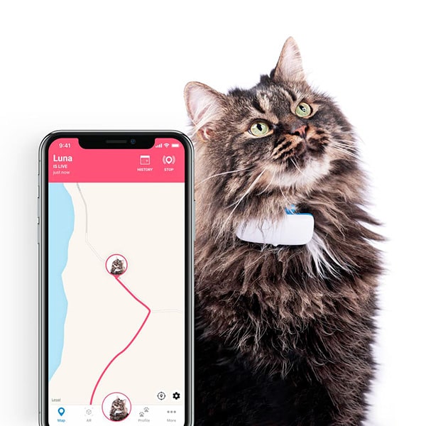 Collier Gps Et Traceur Pour Chat Guide D Achat 21 Collier Gps Et Traceur Pour Chat Guide D Achat 21