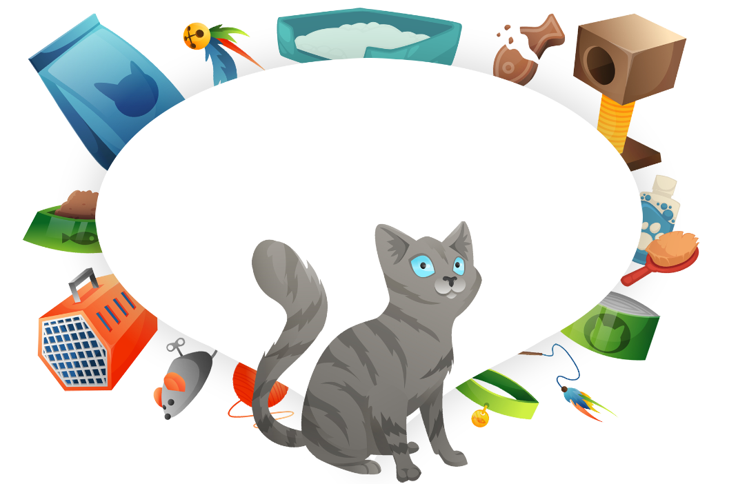 Chat par exemple