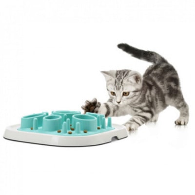 Gamelle Anti Glouton Pour Chat Guide D Achat Et D Utilisation