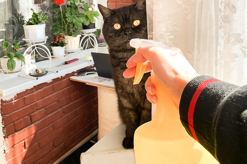 Ne vaporisez pas de l'eau avec un spray