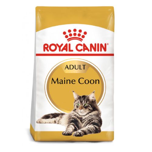 Croquettes Royal Canin Maine Coon