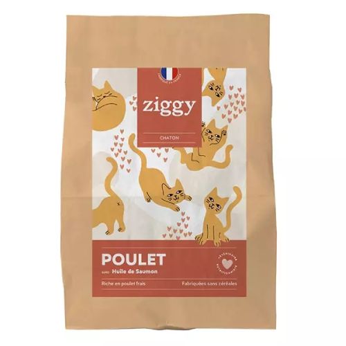 Meilleures croquettes pour Maine Coon chaton