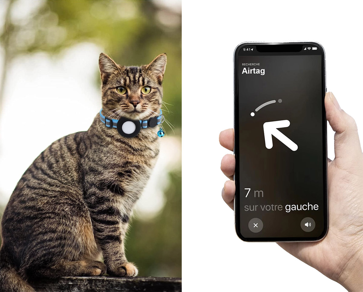 Collier GPS pour Chat - Quel est le meilleur traceur ? – HisoPet™