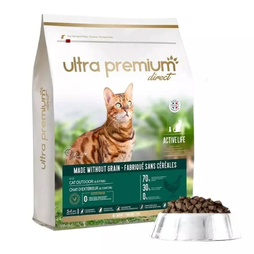 Choisir des croquettes pour Maine Coon nos conseils vétérinaires