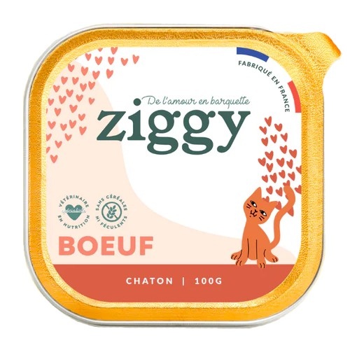 Meilleur pâté pour chaton
