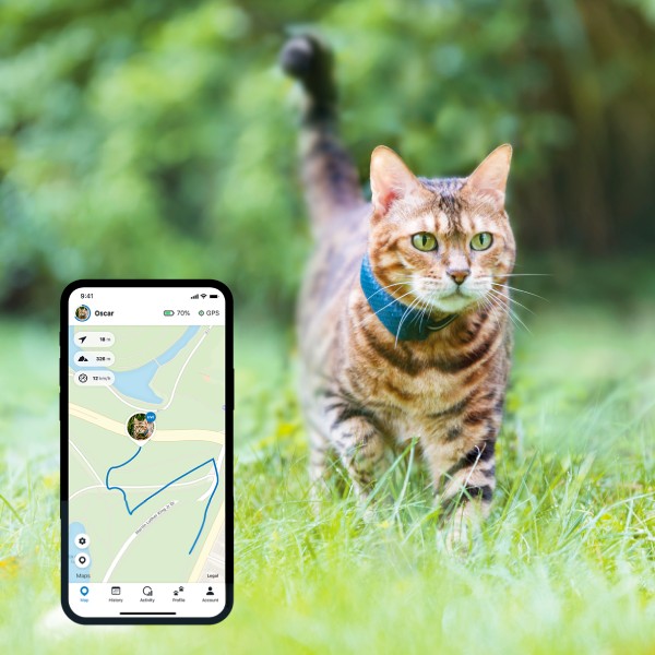 Puce GPS chat non implantable