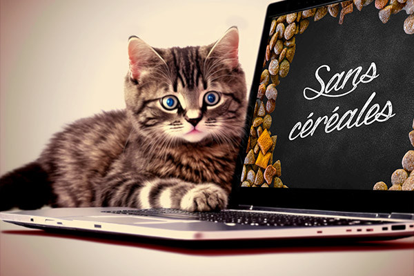 Croquettes chat sans céréales