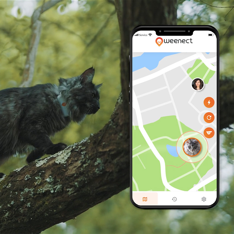 💥 Meilleurs colliers GPS pour chats 2024 - guide d'achat et