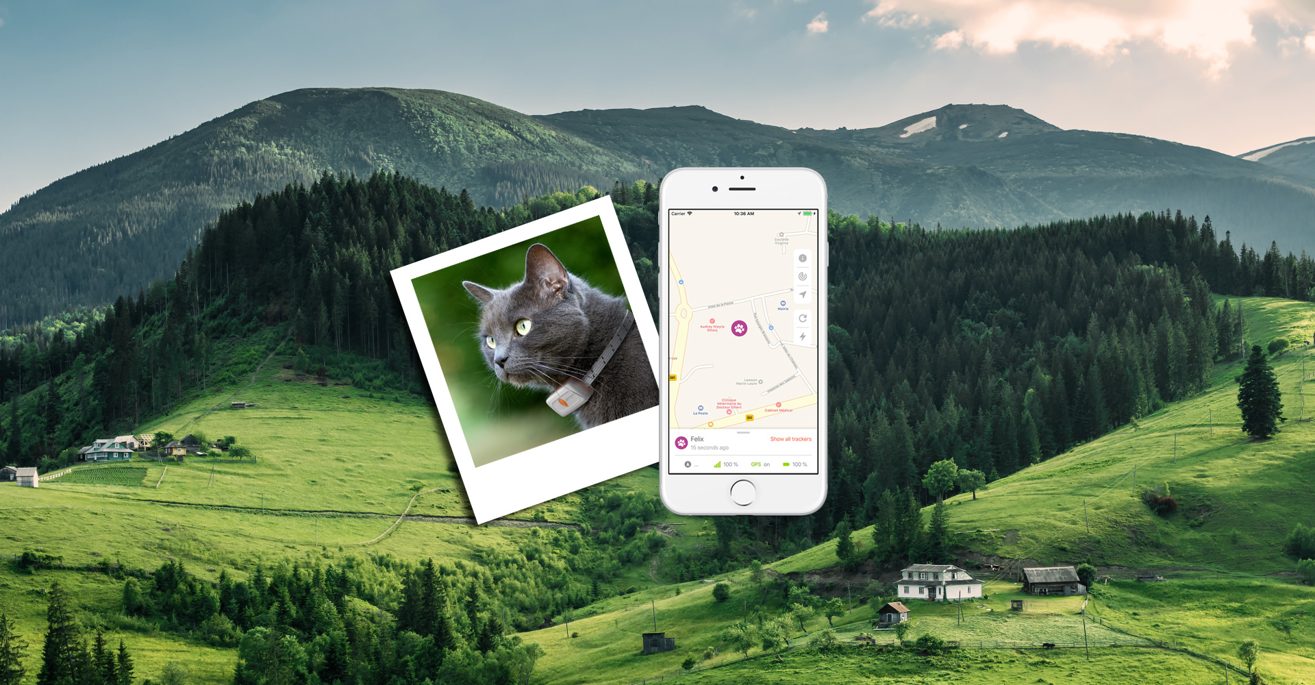 Weenect Traqueur GPS XS pour les chats, Noir