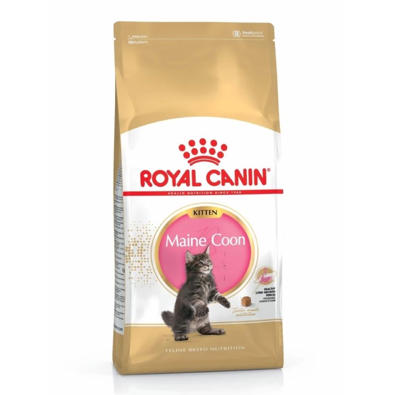 Croquette Royal Canin Maine Coon Kitten