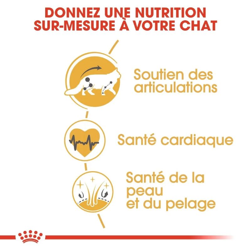 Royal Canin Maine Coon adulte