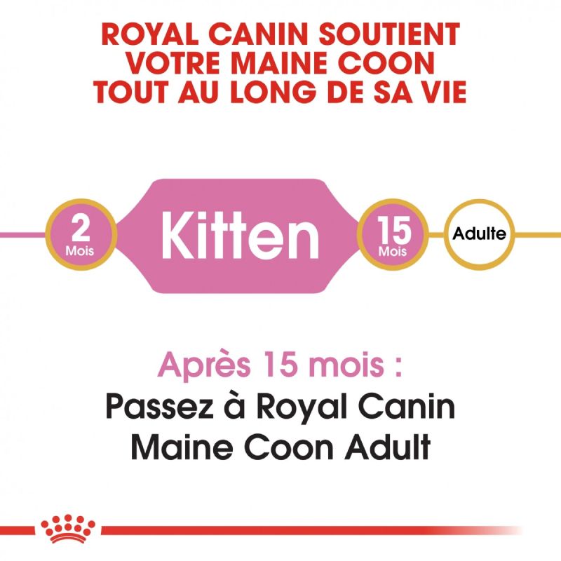 Royal Canin Maine Coon Kitten 4 kg
